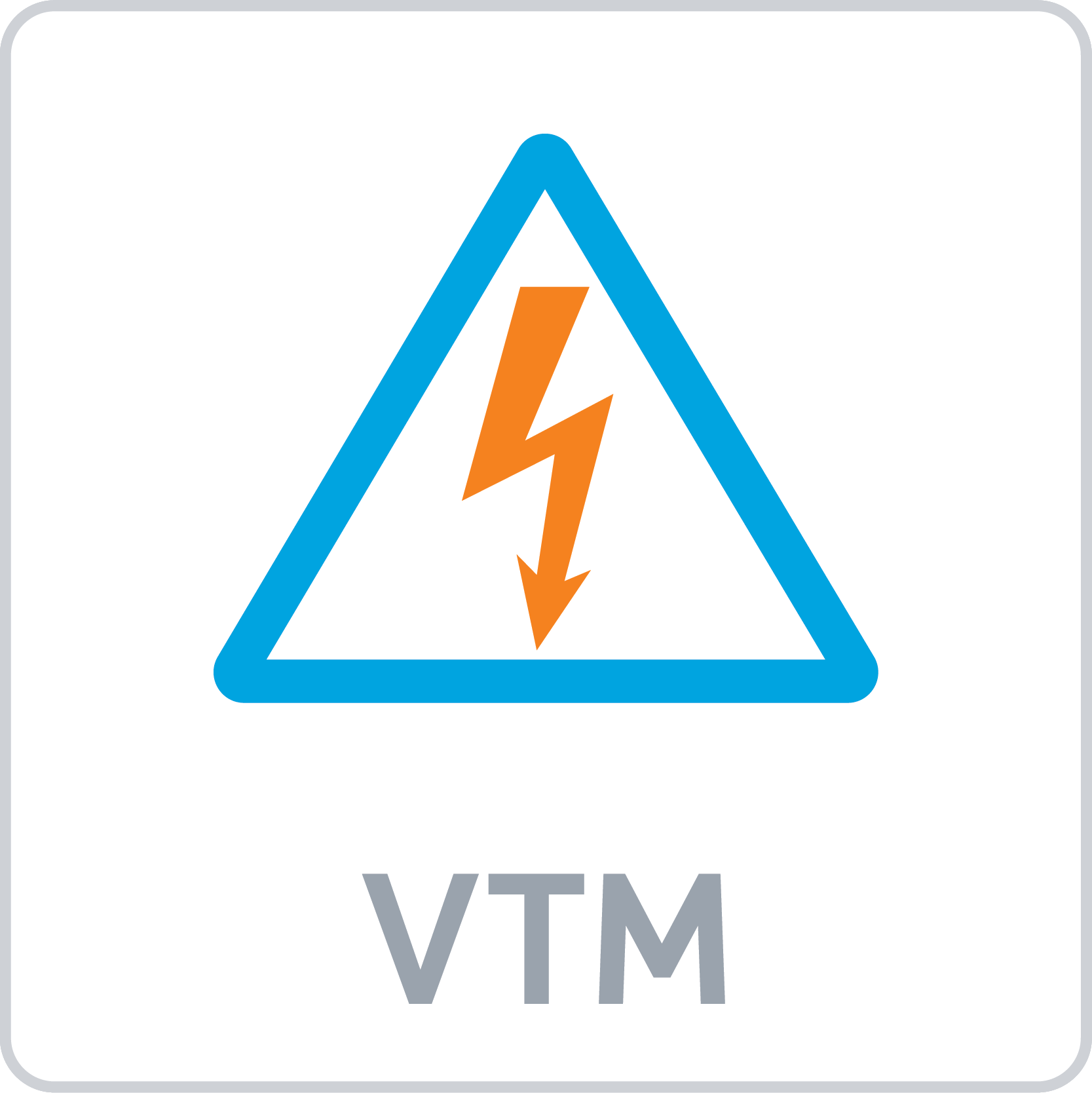 GM Voltage Transformation Module (VTM)